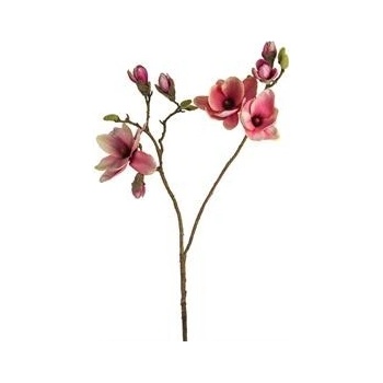 SIA velká růžová magnolie - SIA