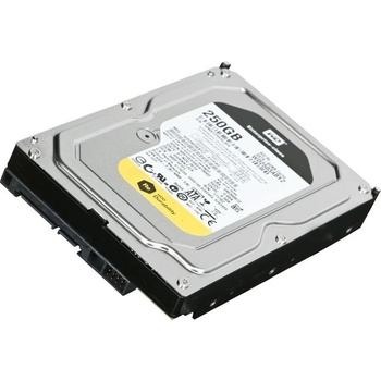 WD 250GB, 3,5", WD2503ABYZ