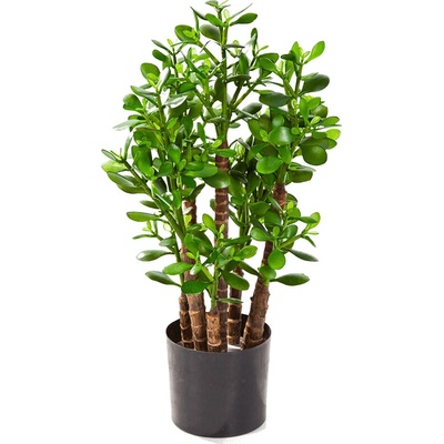 Umelá rastlina Crassula ovata 60 cm