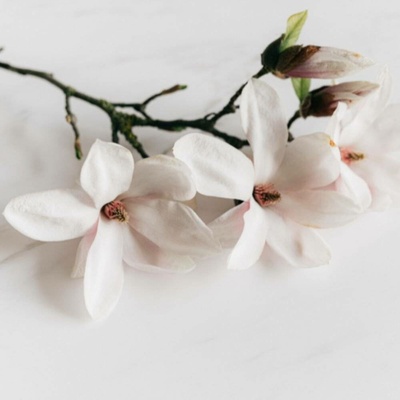 Aroma Natural Magnolia sprchový gel 400 ml