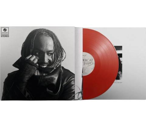 THUNDERCAT - DISTRACTED LP