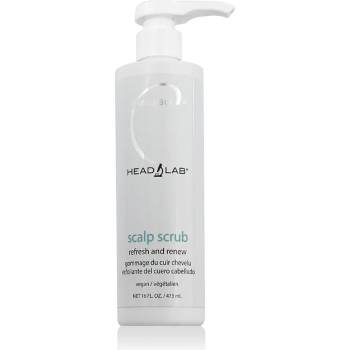 Image 1 of Malibu C Scalp Scrub 473 ml