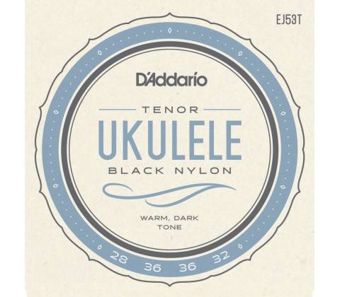 D'Addario EJ53T