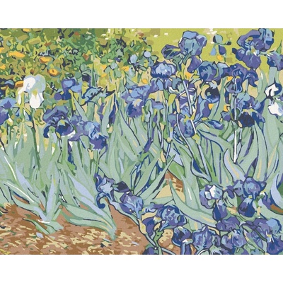 zuty Malování podle čísel Kosatce van Gogh 100 x 80 cm bez rámu a bez vypnutí plátna 8596530005988