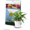 Symbiom Algavit 100 g