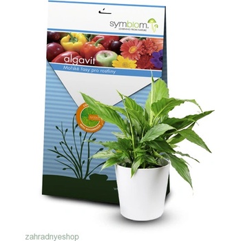 Symbiom Algavit 100 g