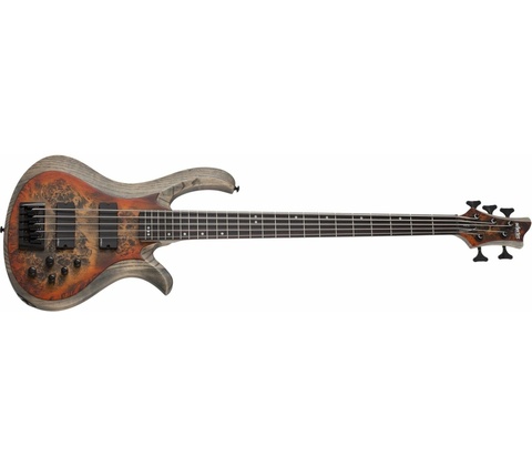 Schecter RIOT-5SIB