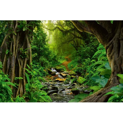 DIMEX ART Флизелинов фототапет река в тропиците 375 x 250 см