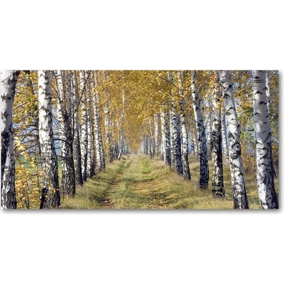 Foto obraz sklenený horizontálny brezy jESEŇ 100x50 cm