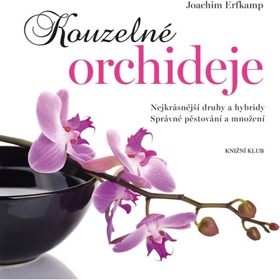 Kouzelné orchideje - Joachim Erfkamp
