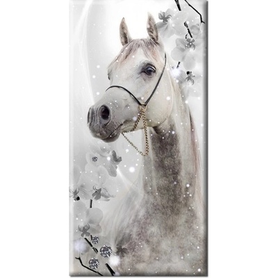 Divio Obraz na plátně kůň, vzor 12371 Velikost: 60x120 cm