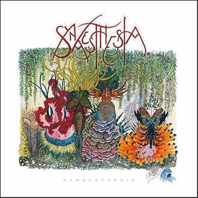 SYNAESTHESIA: SYNAESTHESIA CD