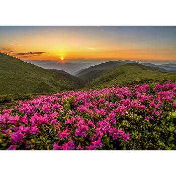 Image 1 of Enjoy - Puzzle Pink Dusk - 1 000 piese