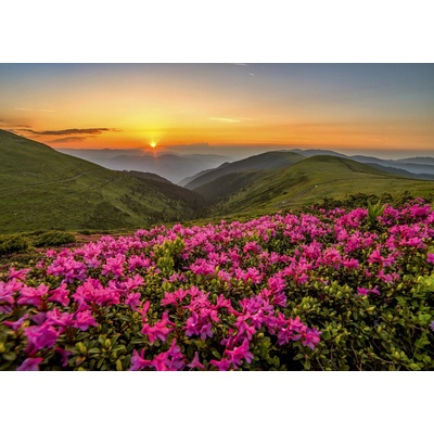 Enjoy - Puzzle Pink Dusk - 1 000 piese