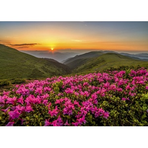 Enjoy - Puzzle Pink Dusk - 1 000 piese
