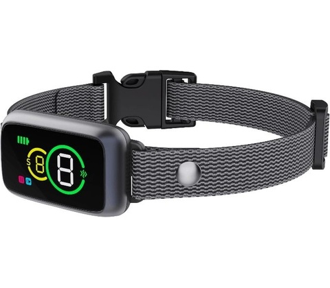 Reedog NoBark Smart Mini