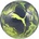 Puma CUP