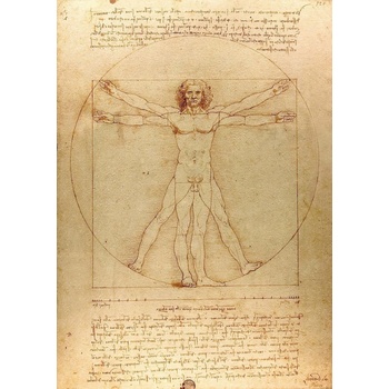 Image 1 of Enjoy - Puzzle Leoardo da Vinci: The Vitruvian Man 1000 - 1 000 piese