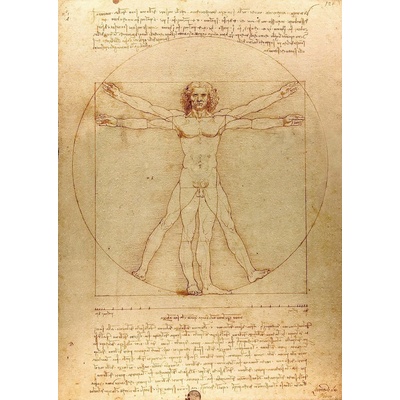 Enjoy - Puzzle Leoardo da Vinci: The Vitruvian Man 1000 - 1 000 piese