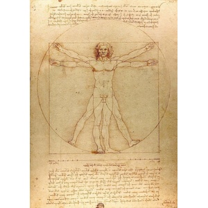 Enjoy - Puzzle Leoardo da Vinci: The Vitruvian Man 1000 - 1 000 piese