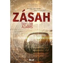 Zásah