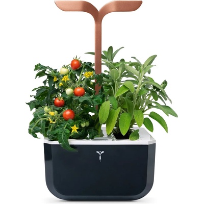 VÉritable (Франция) Настолна домашна градинка Exky® SMART Garden Cooper - цвят черен и мед (VEXK-SSBCO-FR-42)