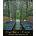 Biophilic Design