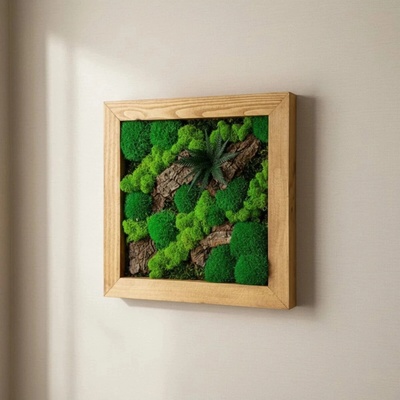 Obrazy so stabilizovaným machom, stabilizovanou papraďou a kôrou - 40 × 40 cm
