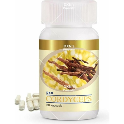 DXN Cordyceps 60 kapsúl