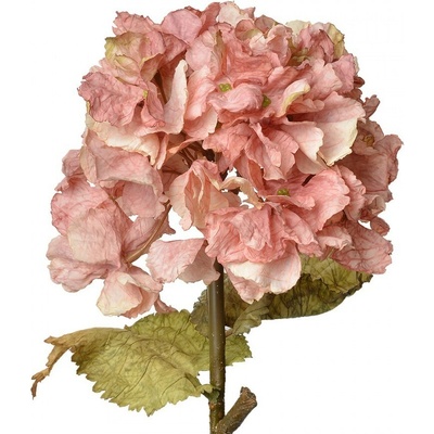 Ružová dekoračná kvetina hortenzie Hydrangea - 10*10*55 cm - Clayre & Eef