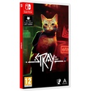 Stray