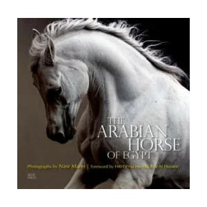 Arabian Horse of Egypt | Nasr Marei (ISBN: 9789774166655)