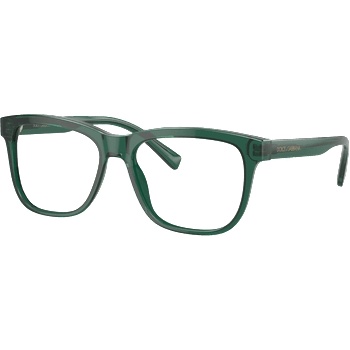 Dolce&Gabbana DX3356 3008