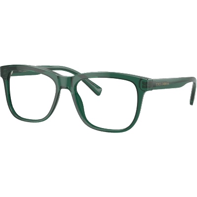 Dolce&Gabbana DX3356 3008