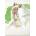 Chronicle Books Princess Mononoke Journal | CHRONICLE