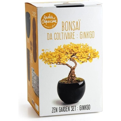 Бонзай Гинко Билоба в черна саксия - комплект за отглеждане (142082)