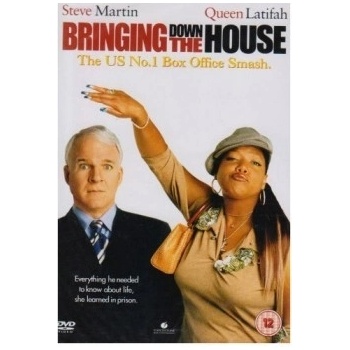 Bringing Down The House DVD