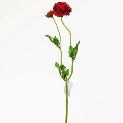 Ranunculus červený kus 39cm 1100279