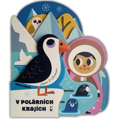 V polárních krajích