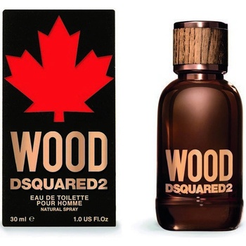 Dsquared2 Wood toaletní voda pánská 100 ml
