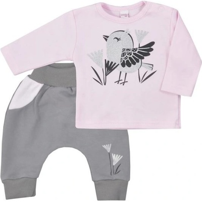 Koala Dojčenské bavlnené tepláčky a tričko Birdy sivé