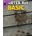 Professional Fishing Starter Kit Basic