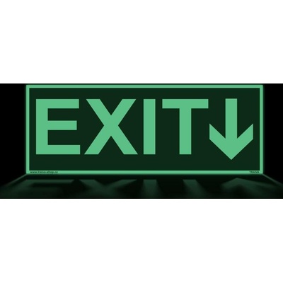 Traiva s.r.o EXIT - nápis se šipkou Verze: Plast 200 x 80 mm tl. 0.5 mm - Kód: 09796