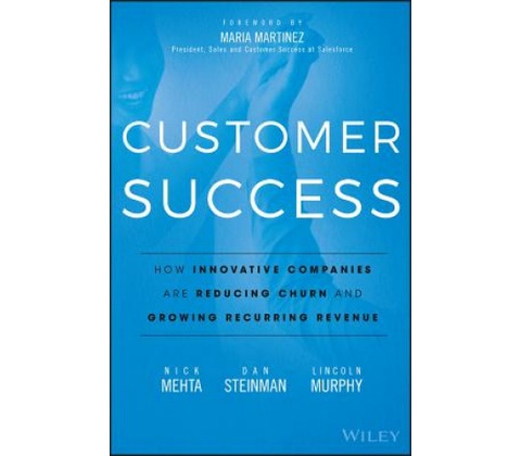Customer Success Steinman Dan