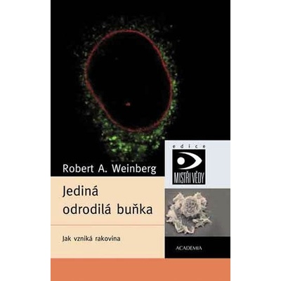 Ve snu ve snu měl jsem sen - Lawrence Ferlinghetti