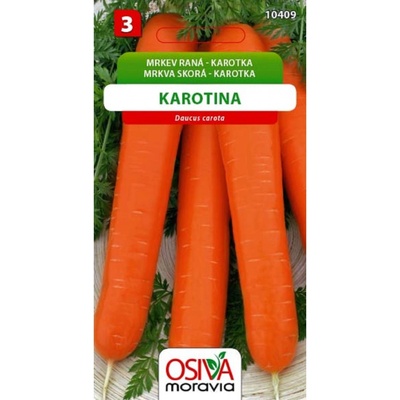 Osiva Moravia Mrkev obecná Karotina