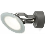 Rendl light studio Fox R11753