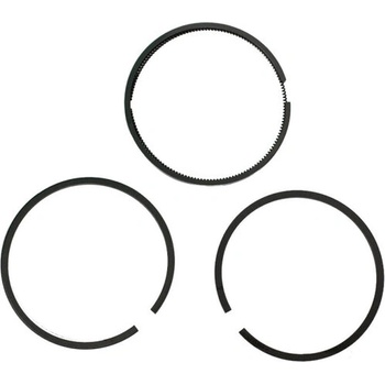 Fiac - Италия Комплект сегменти d95 за пневмо групи fiac ab450-550-800 (за 1 бутало), 4080100000