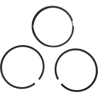 Fiac - Италия Комплект сегменти d95 за пневмо групи fiac ab450-550-800 (за 1 бутало), 4080100000