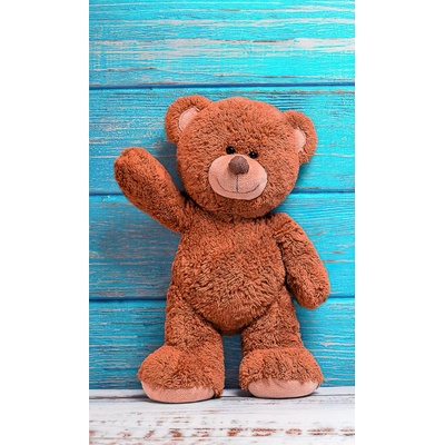 Carbotex · Dětský ručník Plyšový medvídek - . froté 350 gr./m2 - 30 x 50 cm